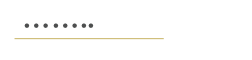 Input Field VL Web 2.PNG